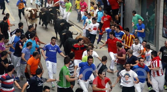 Spagna tornano i festival dei tori, 55enne incornato e ucciso per strada