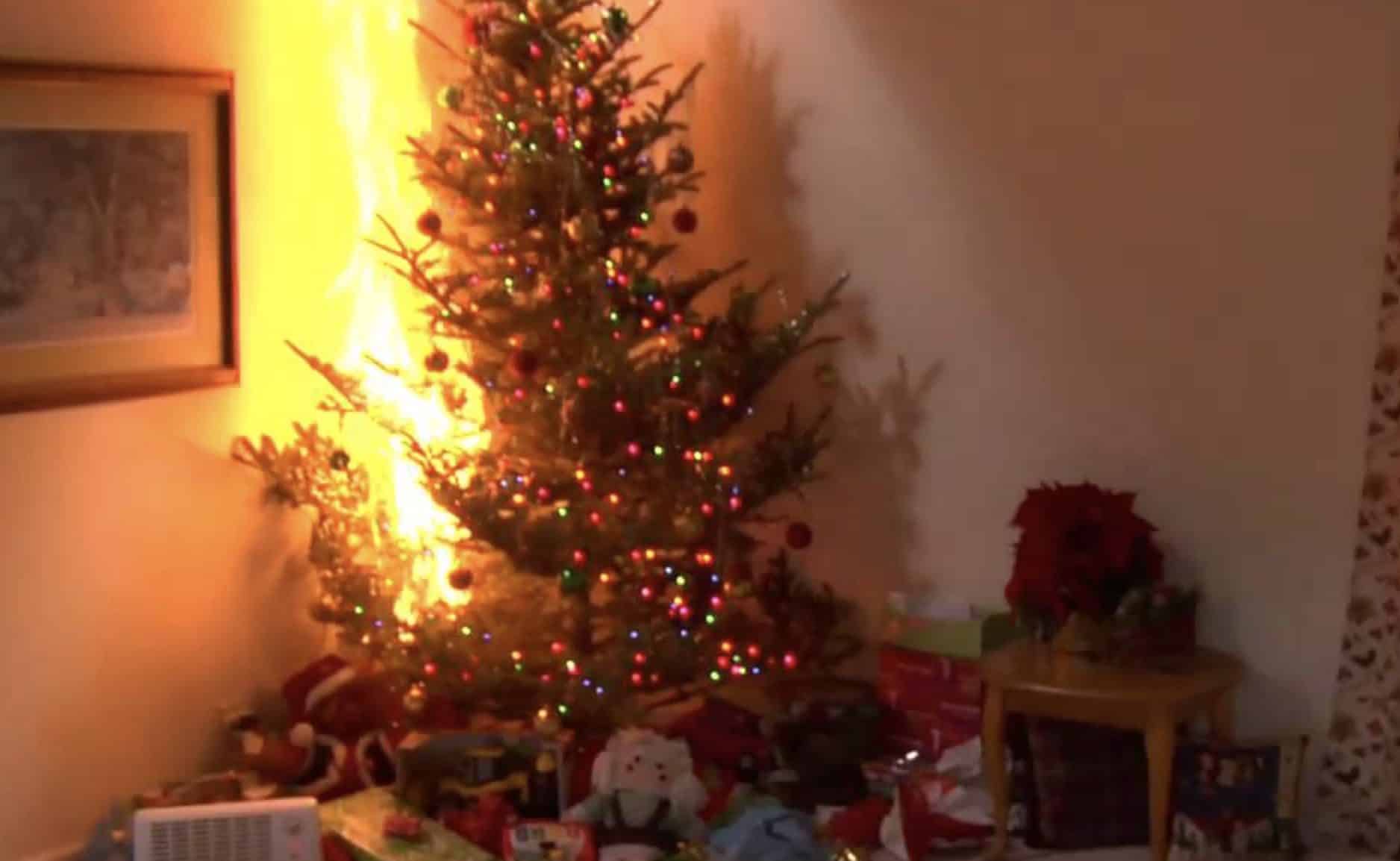 Puglia, albero di Natale in fiamme evacuata intera palazzina