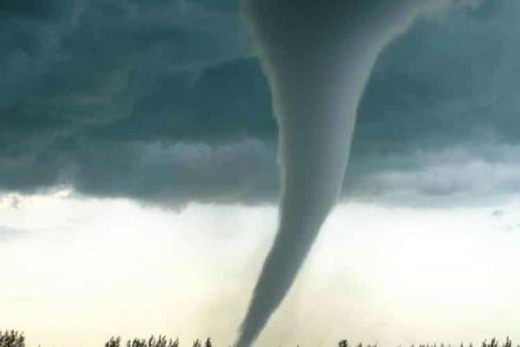 Un albero abbattuto da un tornado ha causato la morte di un bambino di 3 anni a Livonia, Michigan.