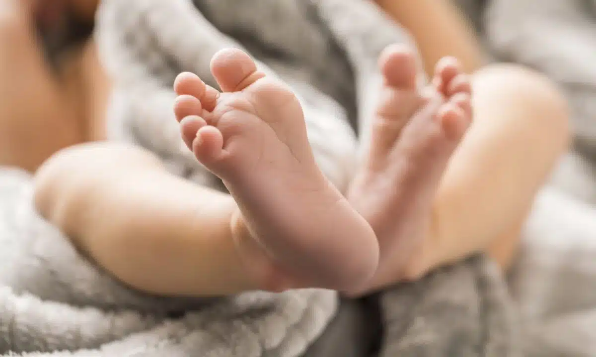 Vittorio Fortunato, soprannominato Miele, è al centro di una complessa disputa legale e sociale. Attualmente è in una comunità al Nord, lontano sia dalla madre naturale che dalla famiglia affidataria.