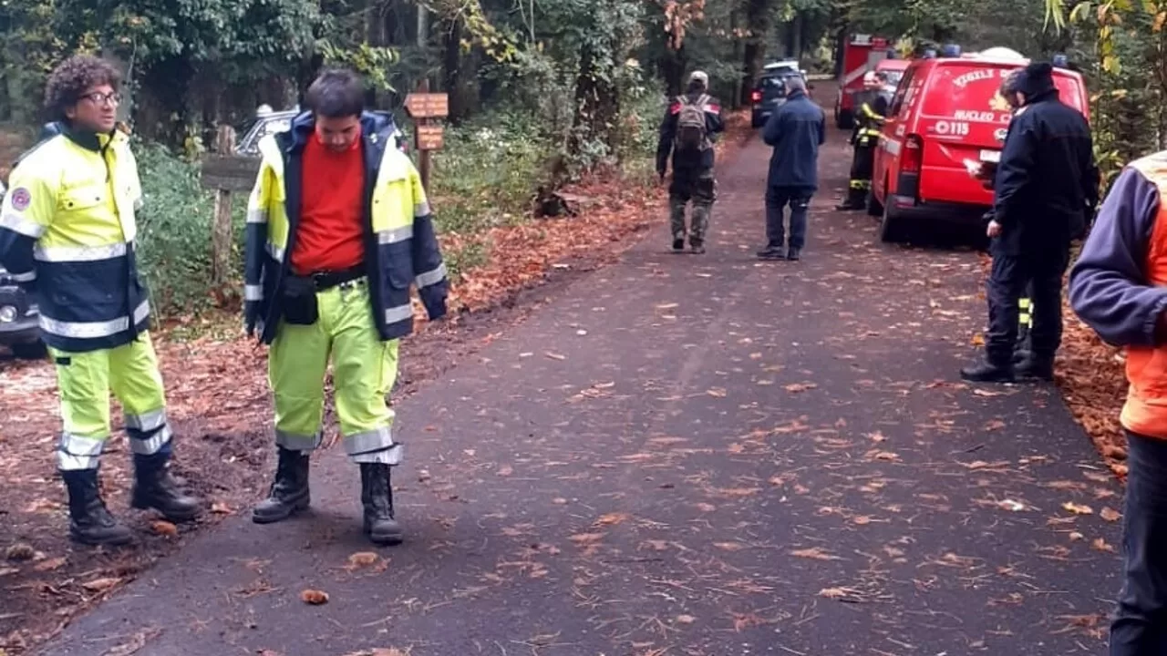 A San Nicandro Garganico, intensificate le ricerche per Giuseppe Pertosa, 81 anni, scomparso mentre raccoglieva funghi nel bosco 'Spinapulci'.