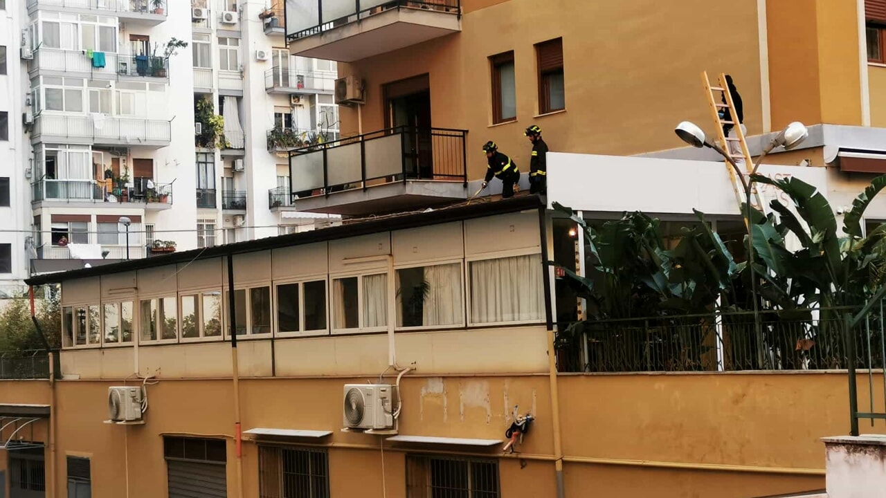 Un professore universitario di 38 anni è deceduto dopo essere caduto dal sesto piano mentre tentava di salvare suo figlio. Il bambino di 4 anni è sopravvissuto grazie all'attenuazione della caduta da pannelli fonoassorbenti.