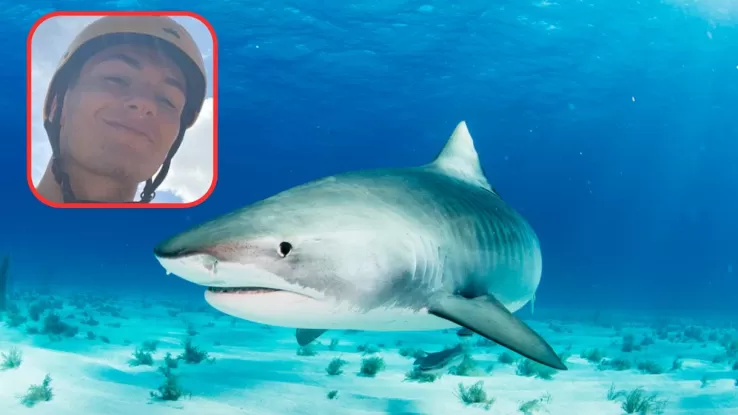Attaccato da uno squalo in Australia, Matteo Mariotti, 20 anni, ha registrato un video di addio pensando di morire, ma è sopravvissuto nonostante la perdita della gamba.