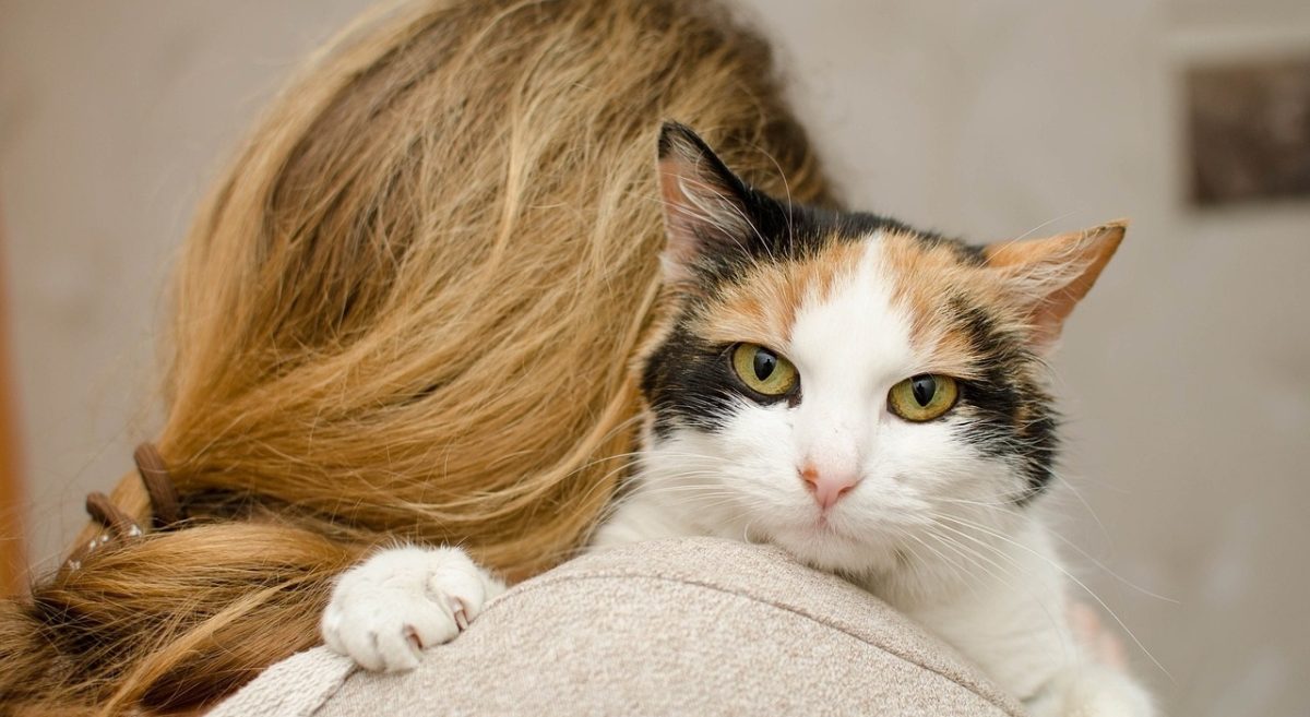 Un'anziana milionaria di Shanghai ha sorpreso tutti nominando i suoi cani e gatti come unici eredi, escludendo i tre figli per la loro mancanza di attenzioni. La decisione ha generato dibattiti e confronti con episodi simili.