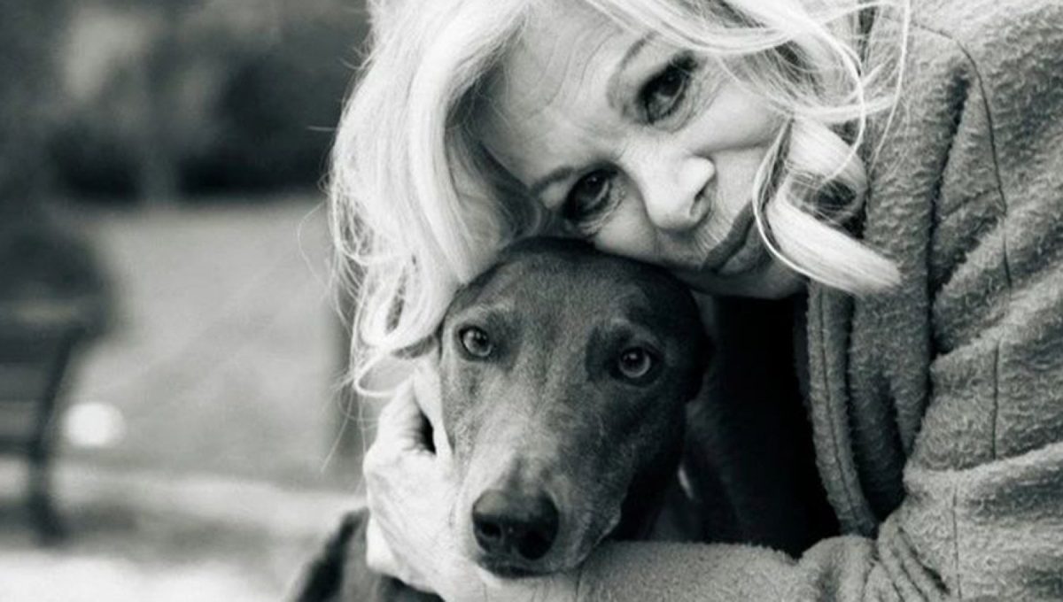 Dopo la scomparsa di Sandra Milo, i suoi cani Jim e Lady manifestano un profondo dolore, come descritto dalla figlia Azzurra su Instagram.